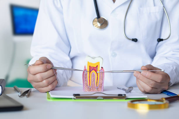 Best Emergency Root Canal Treatment in Brent, AL
